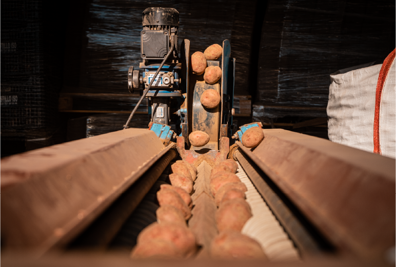 foto_punto_confeccion-04