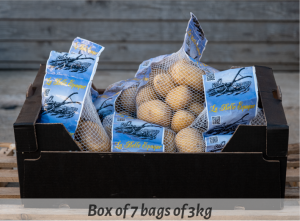 varietat_patatas_ang-08