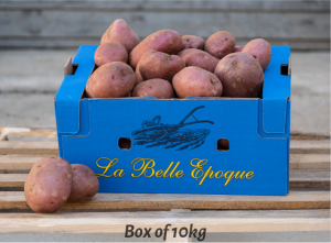 varietat_patatas_ang-13