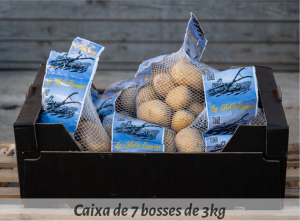 varietat_patatas_cat-08