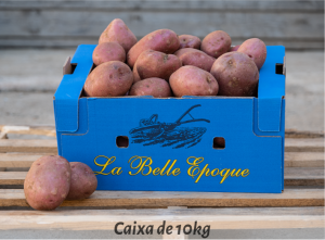 varietat_patatas_cat-13